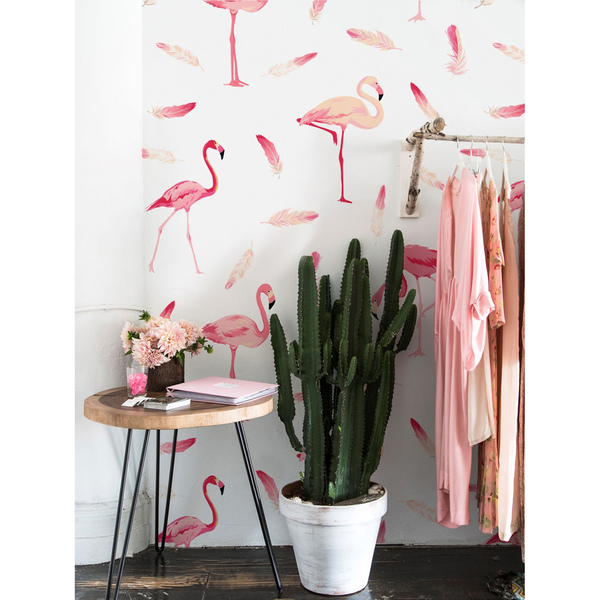 Wallpaper Flamingos And Feathers