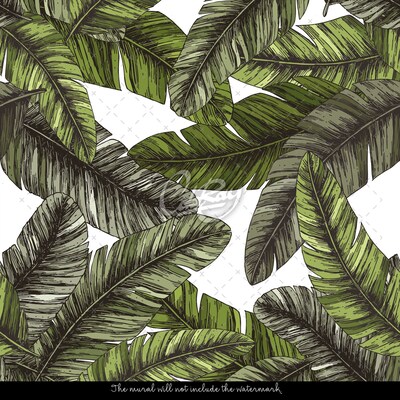 Wallpaper Pleasant Coolness Of Paradise Palm Leaves