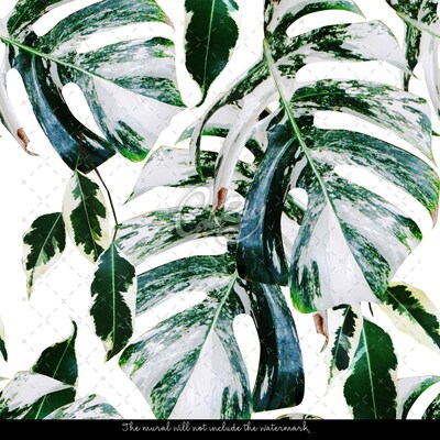 Wallpaper Magic Of Exotic Leaves