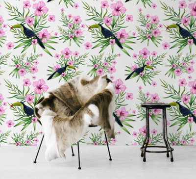 Wallpaper Resting Toucan