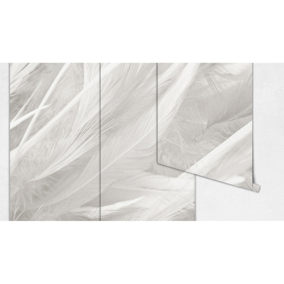 Wallpaper Whimsical Feather