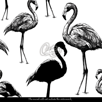 Wallpaper Unobvios Flamingos