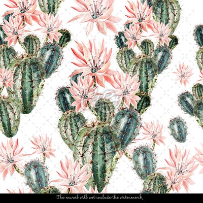 Wallpaper Mexican Garden