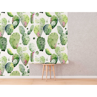 Wallpaper Nourishing Power Of Cactus