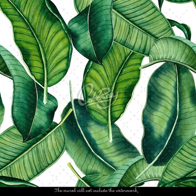 Wallpaper Juicy Green Of Banana Leaves