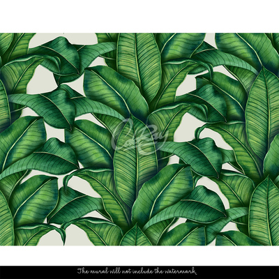 Wallpaper Climbing Tropical Leaves