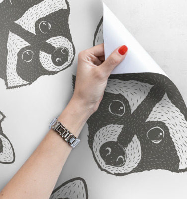 Wallpaper Raccoons