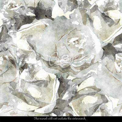 Wallpaper Abstraction Of White Roses