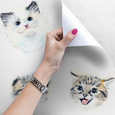 Wallpaper Friendly Cats