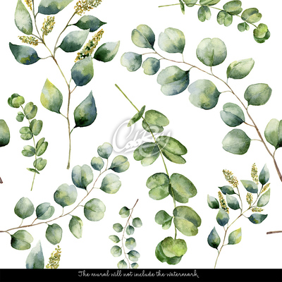 Wallpaper Eucalyptus Twigs