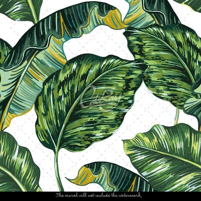 Wallpaper In the Shadow Of Monstera Leaves