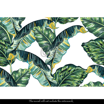 Wallpaper Watercolor Banana Leaves