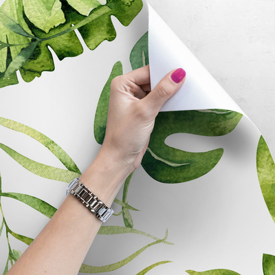 Wallpaper Exotics at Your Fingertips
