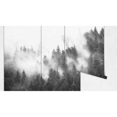 Wallpaper Mysterious Mist