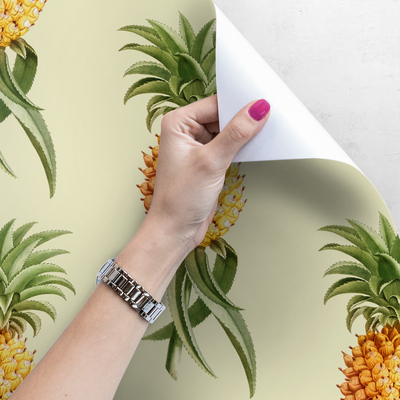 Wallpaper Fruit Inspirations