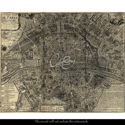 Wallpaper Paris Vintage Map