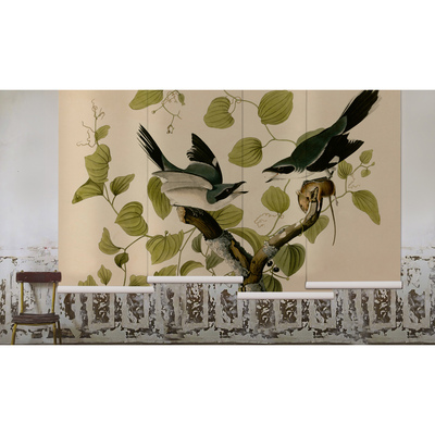 Wallpaper Birds On A Branch
