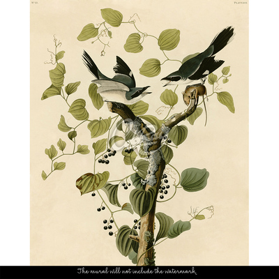 Wallpaper Birds On A Branch