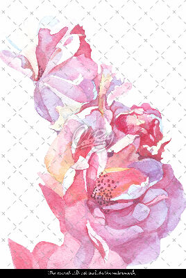 Stair decals Delicate Watercolor Flowers