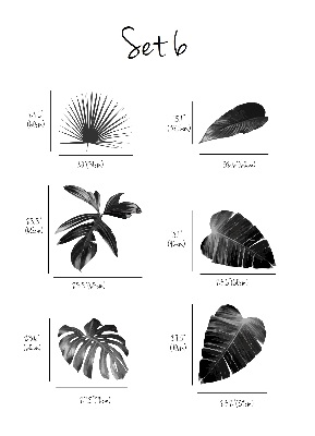 Wall decals Black and white Leaves