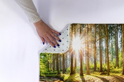 Bath rug Landscape Forest