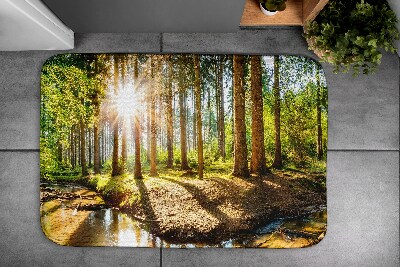 Bath rug Landscape Forest