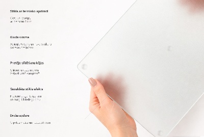 2-piece chopping board set translucent