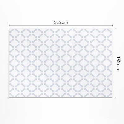 Vinyl carpet Minimalist geometric pattern