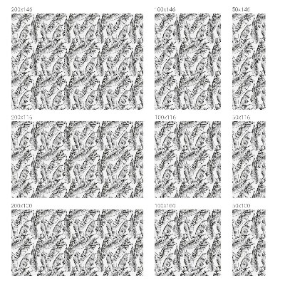 Privacy window film stained glass effect Tropical leaves