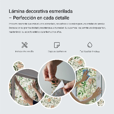 Frosted window film with stained glass pattern Birds plants