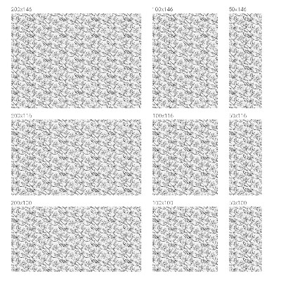 Coloured glass film for windows Birds and flowers