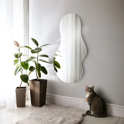 Modern irregular shaped mirror