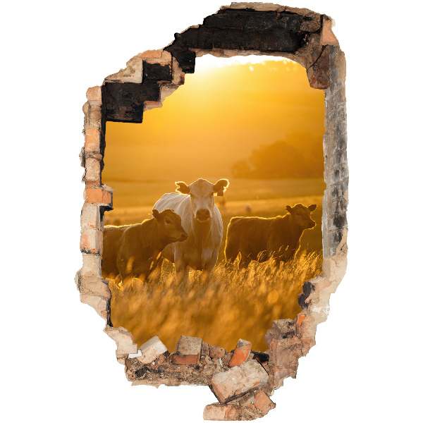 3D wall hole sticker 26x39 Rural landscape