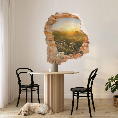 3D wall hole sticker 33x39 Sunny meadow
