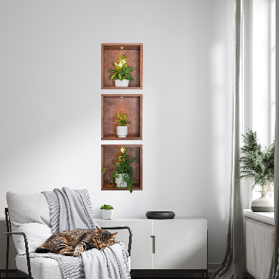 3D illusion wall decal 11x39 Plant niches
