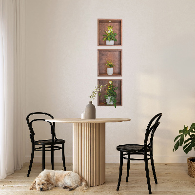 3D illusion wall decal 11x39 Plant niches