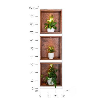 3D illusion wall decal 11x39 Plant niches