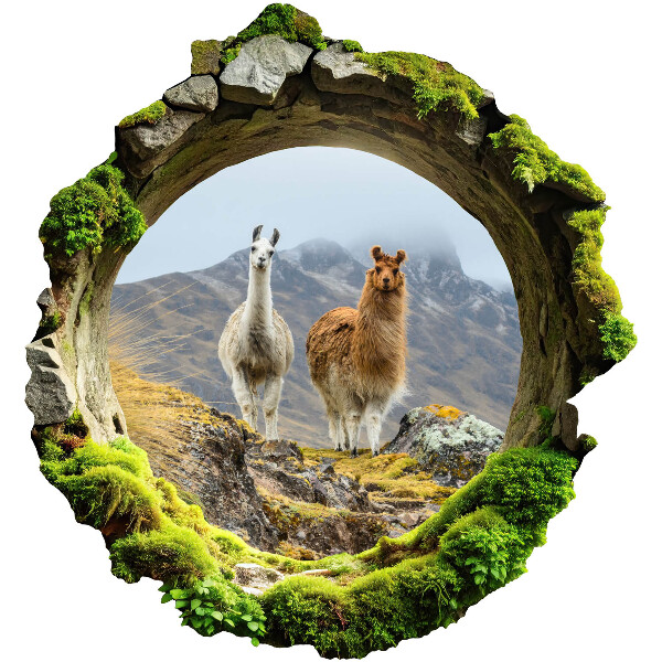3D wall hole sticker 37x39 Mountain oasis