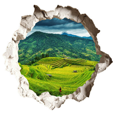 3D wall hole sticker 39x37 Green terraces