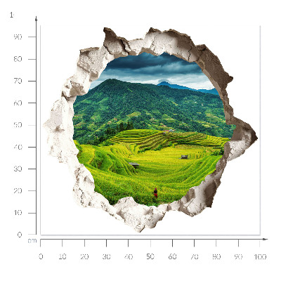 3D wall hole sticker 39x37 Green terraces