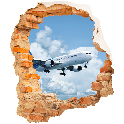 3D wall hole sticker 44x51 Aerial discovery