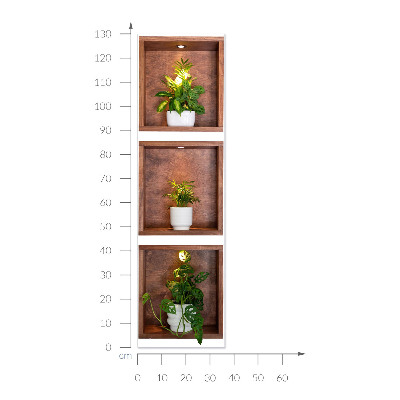 3D illusion wall decal 15x51 Plant niches