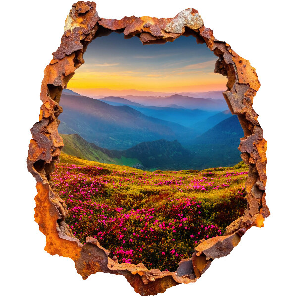 3D wall hole sticker 43x51 Flower mountains