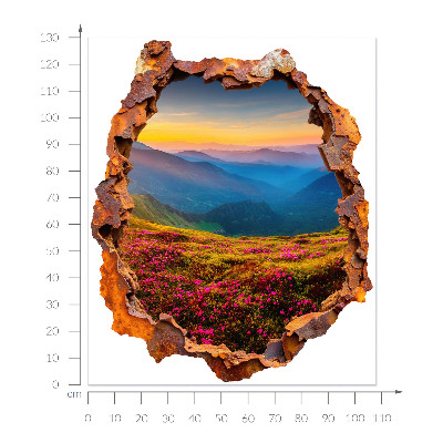 3D wall hole sticker 43x51 Flower mountains