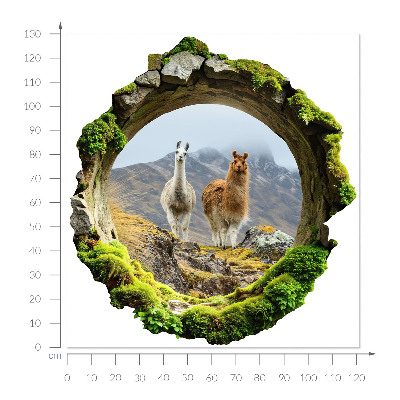 3D wall hole sticker 48x51 Mountain oasis