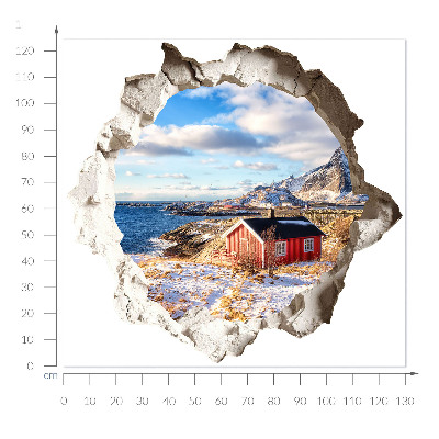 3D wall hole sticker 51x48 Winter landscape