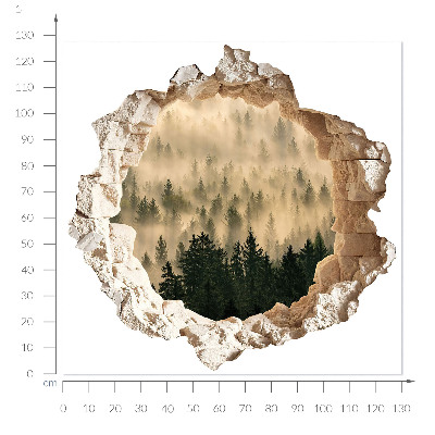 3D wall hole sticker 51x50 Mystical forest