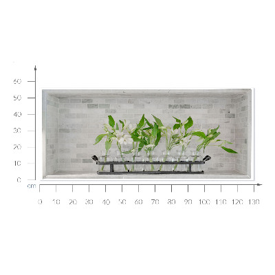 3D illusion wall decal 51x22 Flowers in vases