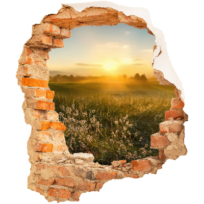 3D wall hole wallpaper 20x24 Sunny meadow