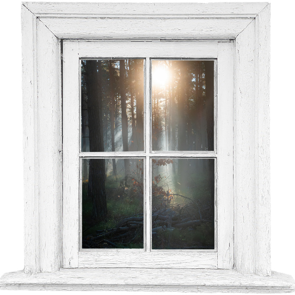 Window sticker wallpaper 24x24 Forest window